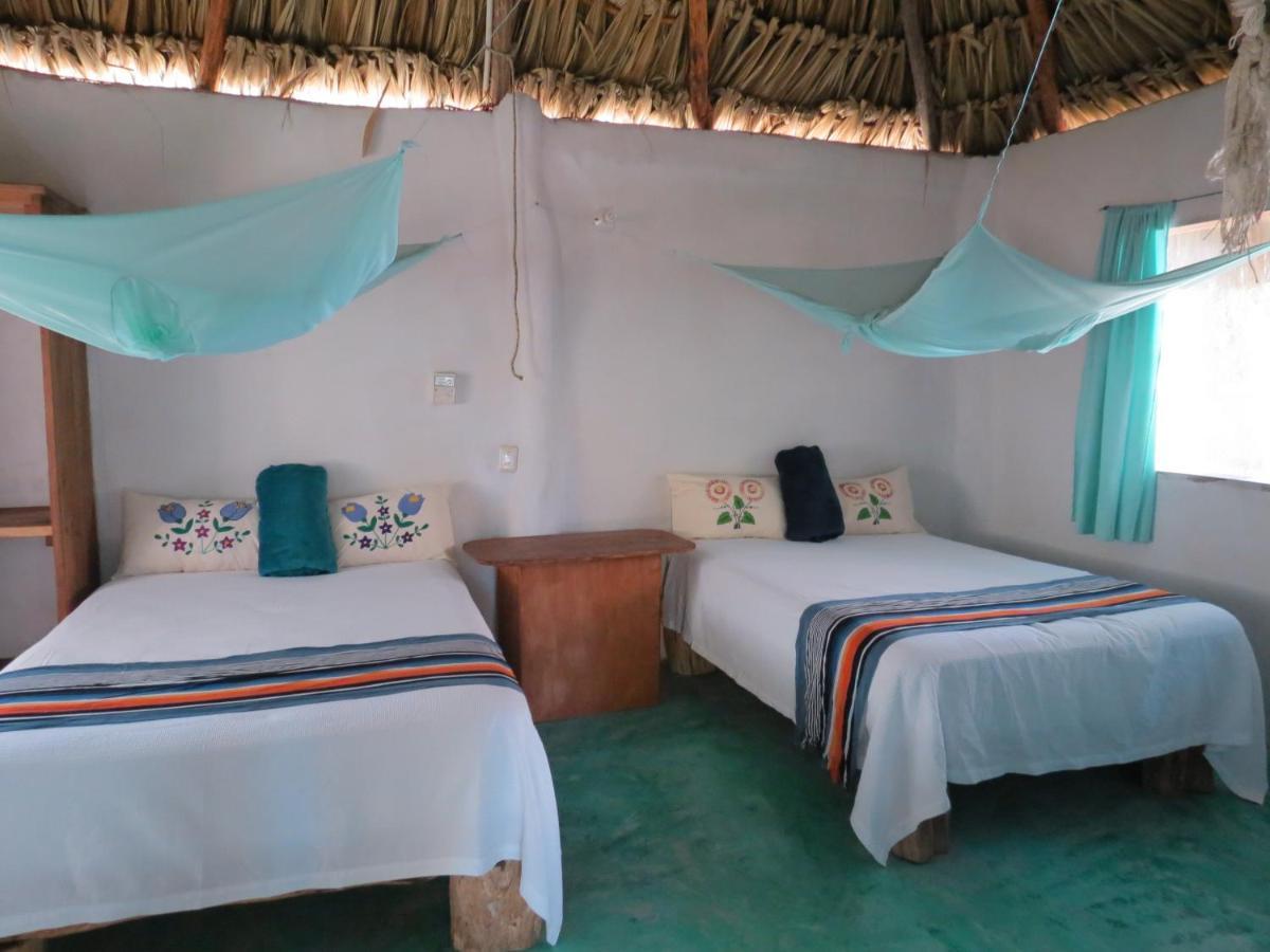 Cabanas Calakmul Конуас Экстерьер фото