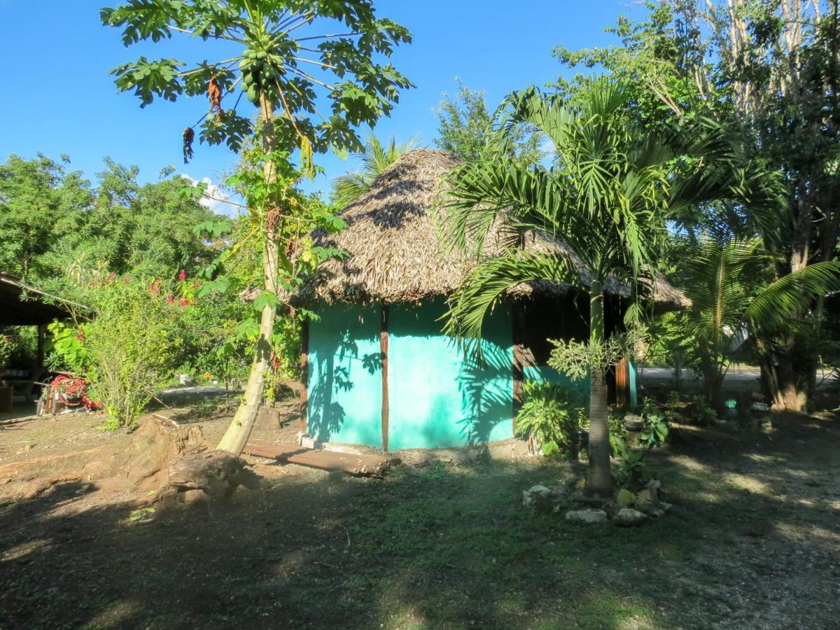 Cabanas Calakmul Конуас Экстерьер фото