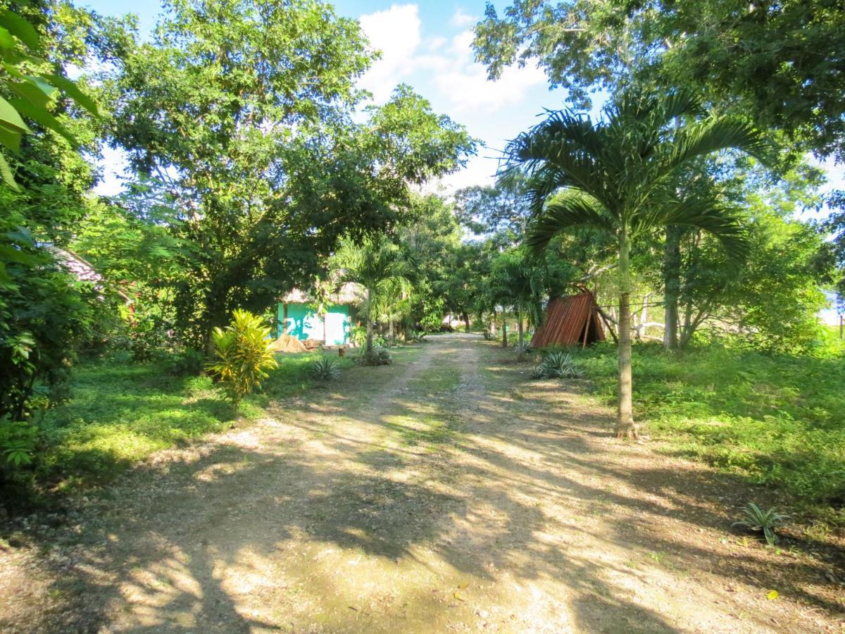 Cabanas Calakmul Конуас Экстерьер фото