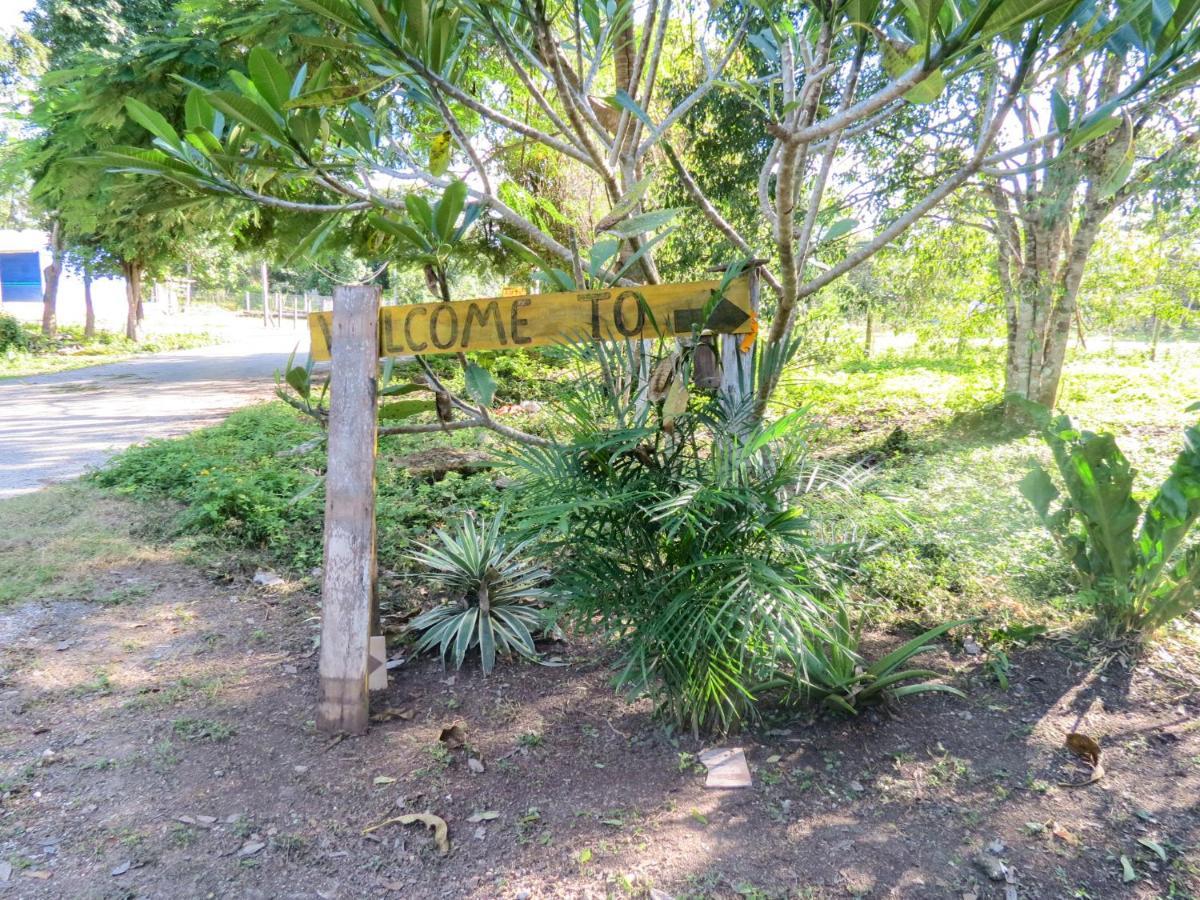 Cabanas Calakmul Конуас Экстерьер фото
